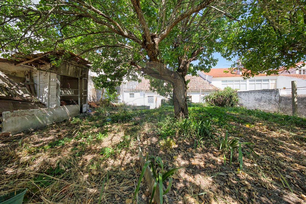 listing 120431199-500 picture-0