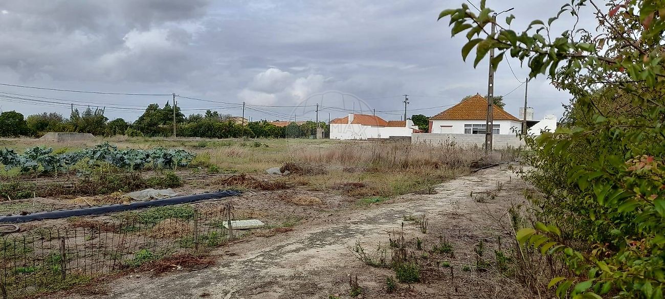 Terreno à venda em Almeirim