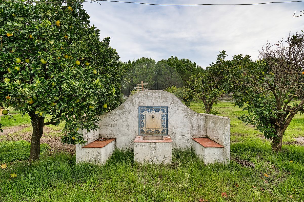 listing-picture-0