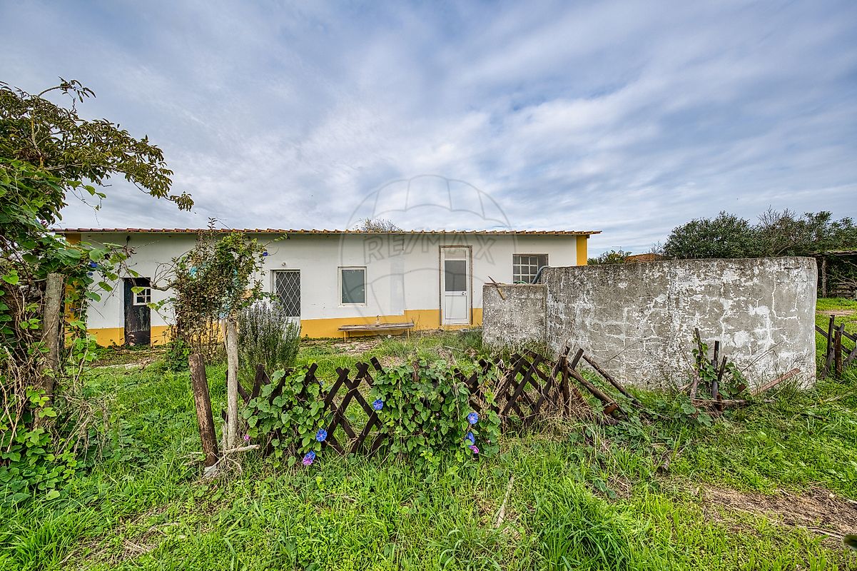 listing-picture-0