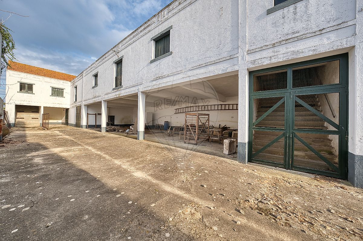 listing-picture-0