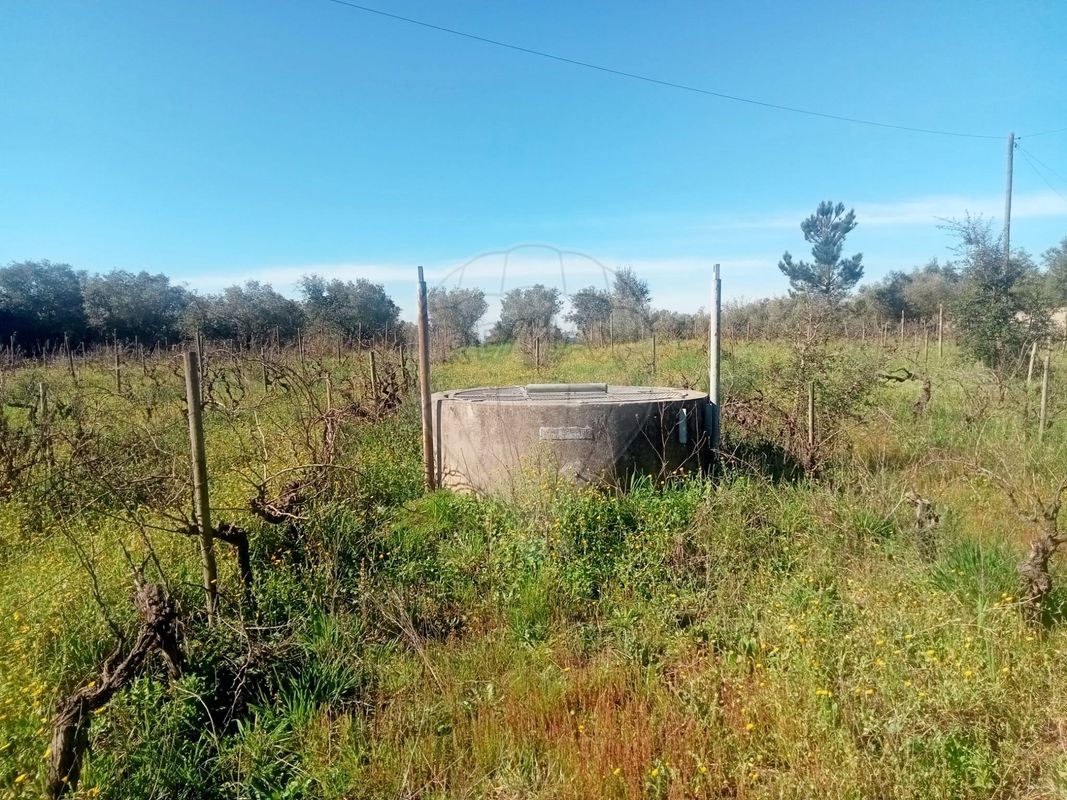 Terreno para venda