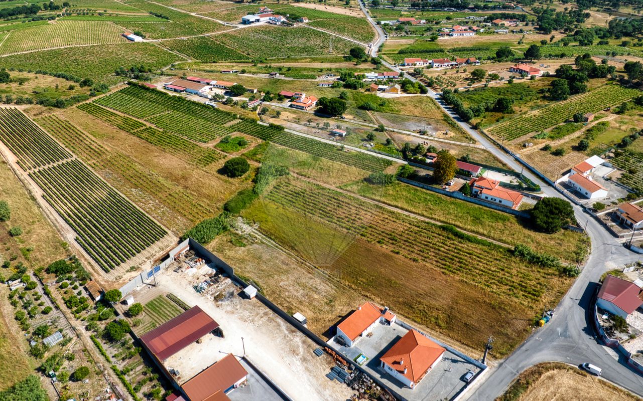 listing-picture-0