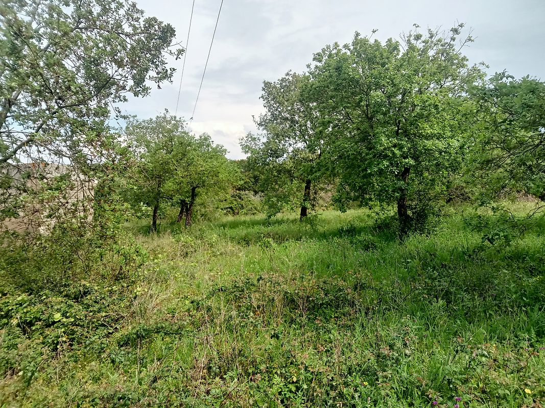 Land for sale in Cartaxo, Portugal — €55,000