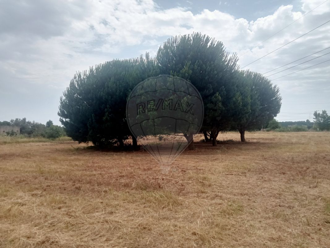 TODO