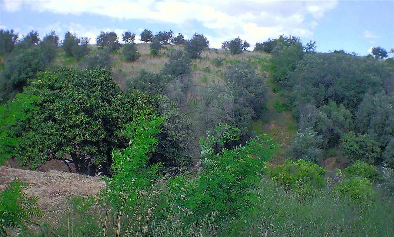 Moradia T2 à venda em Santarém (Marvila), Santa Iria da Ribeira de Santarém, Santarém (São Salvador) e Santarém (São Nicolau), Santarém — foto 13