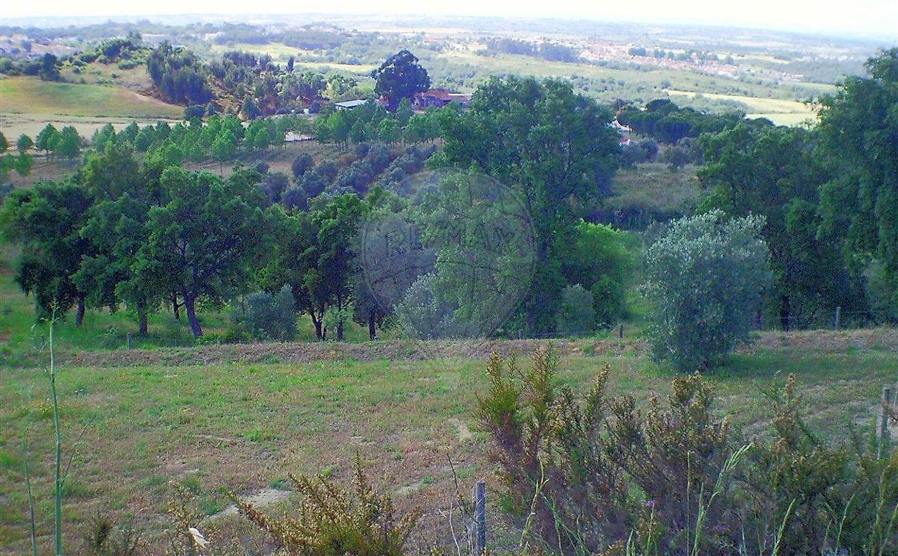 Moradia T2 à venda em Santarém (Marvila), Santa Iria da Ribeira de Santarém, Santarém (São Salvador) e Santarém (São Nicolau), Santarém — foto 18
