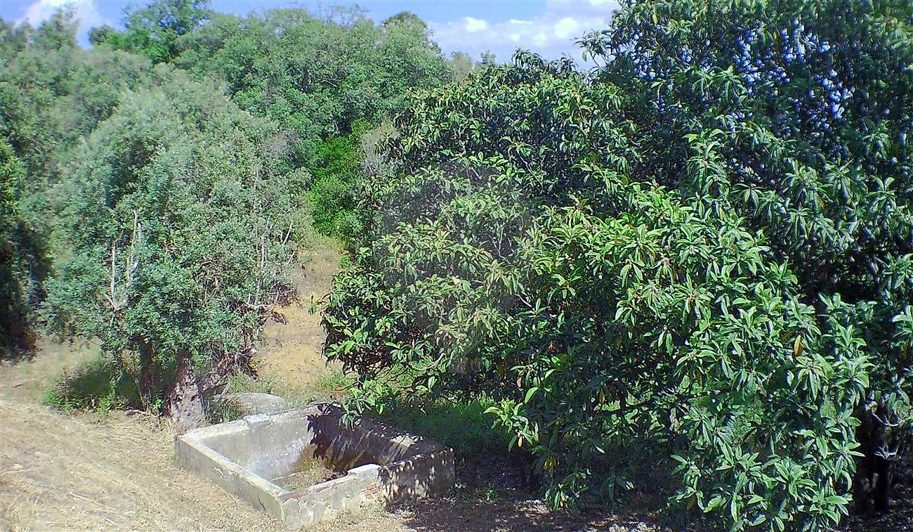 Moradia T2 à venda em Santarém (Marvila), Santa Iria da Ribeira de Santarém, Santarém (São Salvador) e Santarém (São Nicolau), Santarém — foto 25