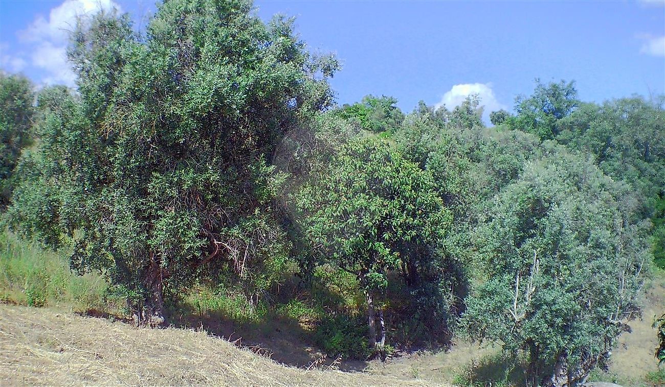 Moradia T2 à venda em Santarém (Marvila), Santa Iria da Ribeira de Santarém, Santarém (São Salvador) e Santarém (São Nicolau), Santarém — foto 21