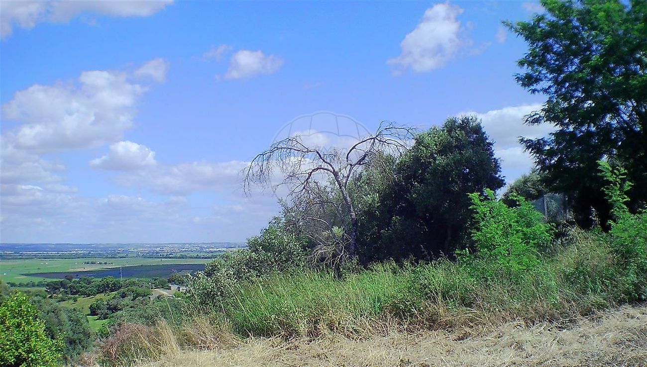 Moradia T2 à venda em Santarém (Marvila), Santa Iria da Ribeira de Santarém, Santarém (São Salvador) e Santarém (São Nicolau), Santarém — foto 12