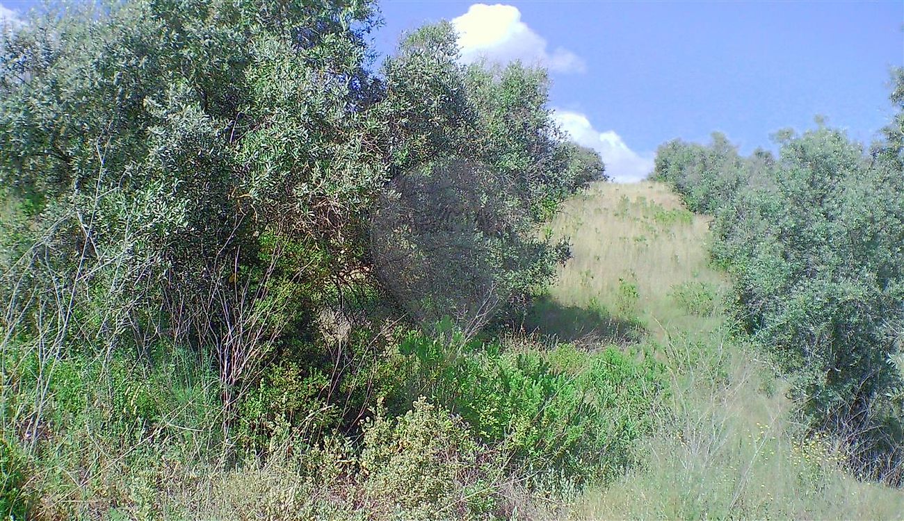 Moradia T2 à venda em Santarém (Marvila), Santa Iria da Ribeira de Santarém, Santarém (São Salvador) e Santarém (São Nicolau), Santarém — foto 22