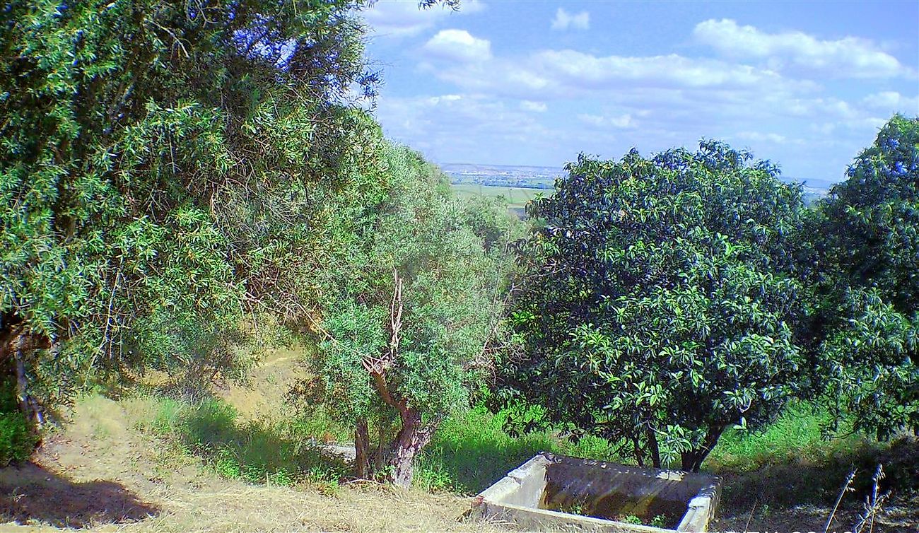 Moradia T2 à venda em Santarém (Marvila), Santa Iria da Ribeira de Santarém, Santarém (São Salvador) e Santarém (São Nicolau), Santarém — foto 24