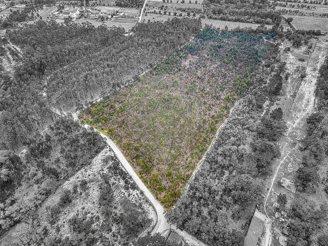 Terreno à venda em Santarém