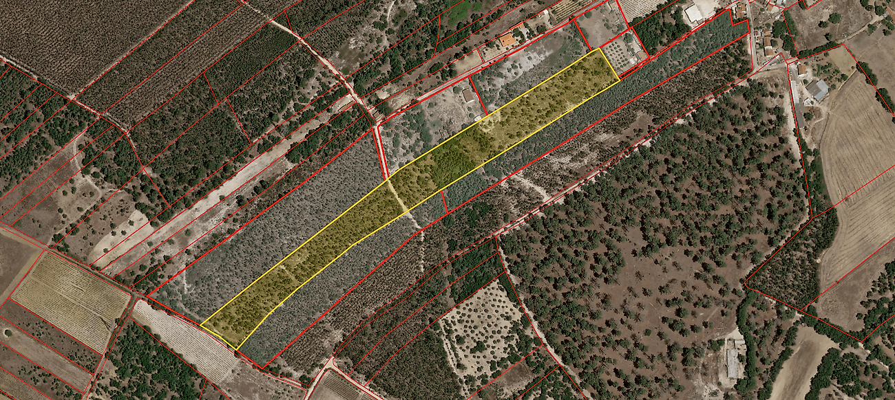 Terreno à venda em Santarém