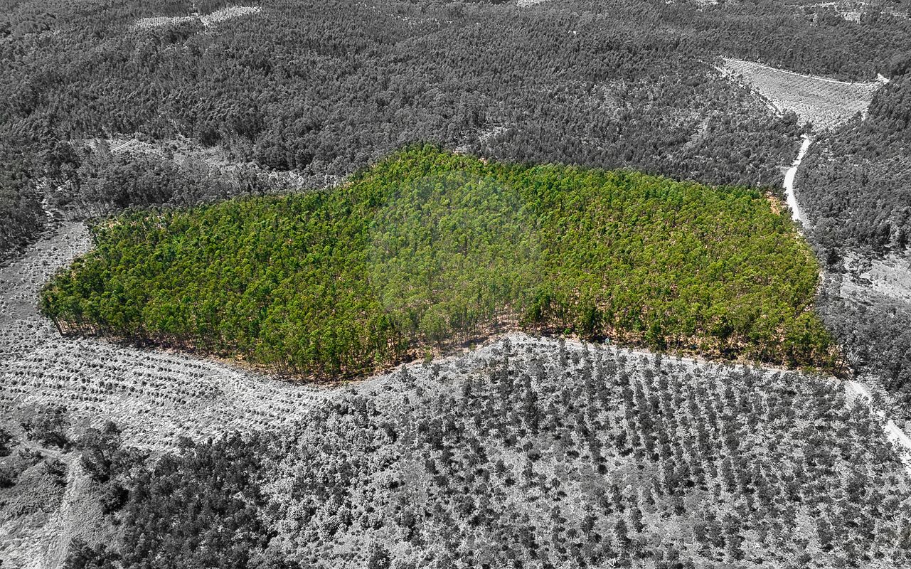 Terreno  para venda