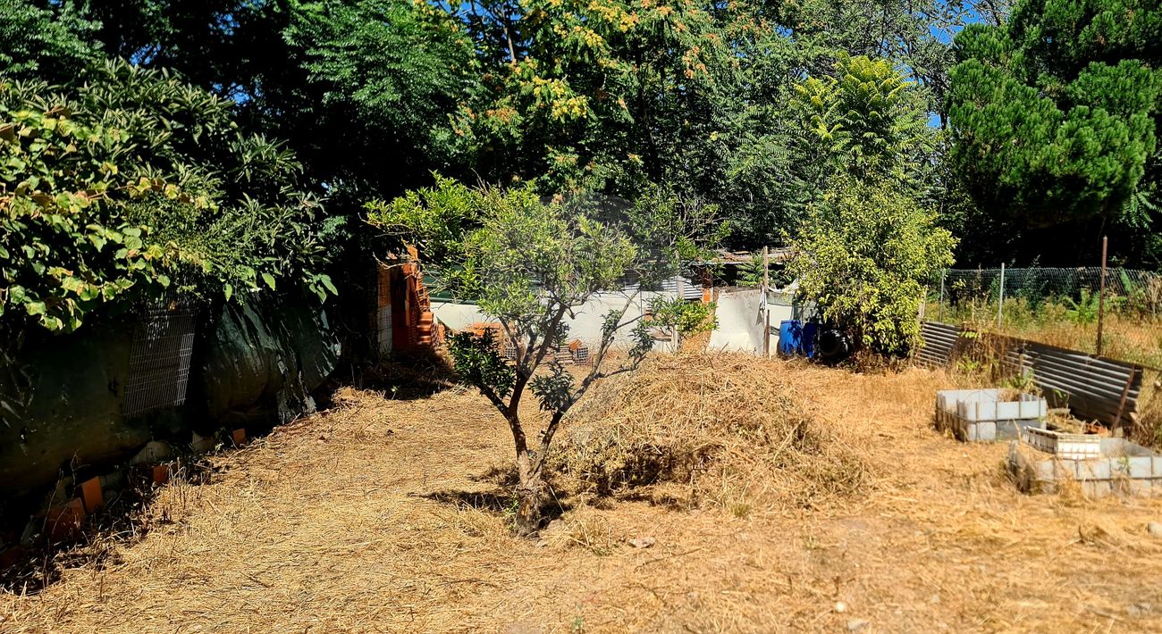 Terreno  para venda