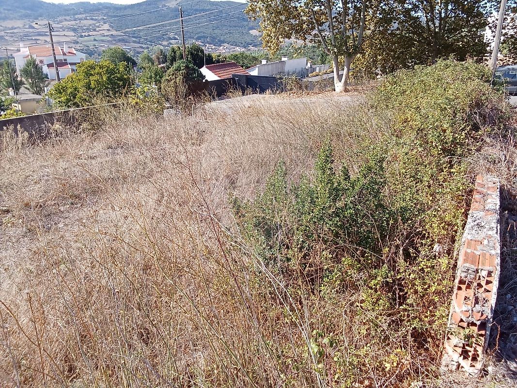 Terreno  para venda