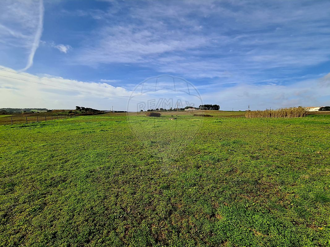 Terreno - Ereira e Lapa, Cartaxo, Santarém