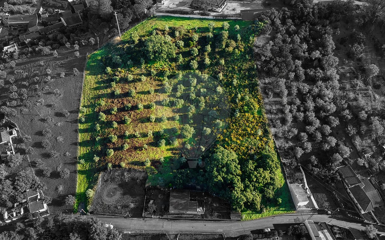 Terreno - Chamusca e Pinheiro Grande, Chamusca, Santarém