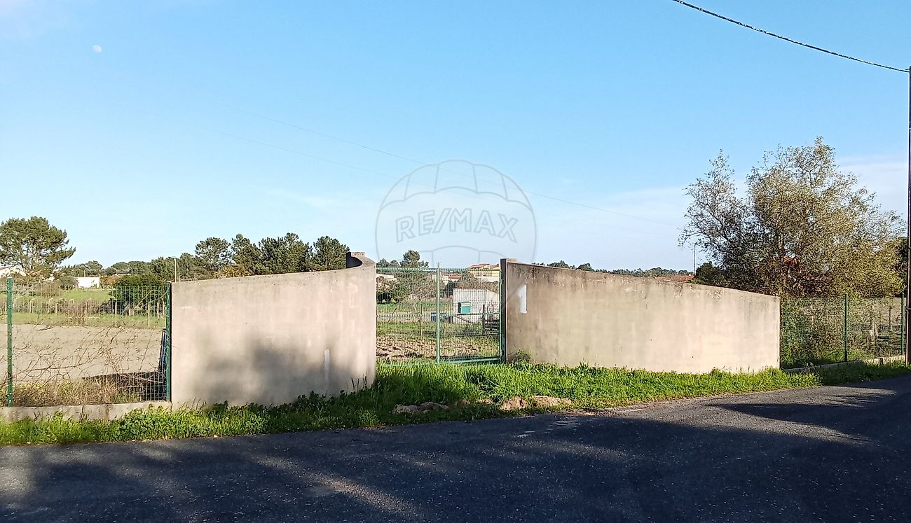 Terreno - Vale da Pedra, Cartaxo, Santarém