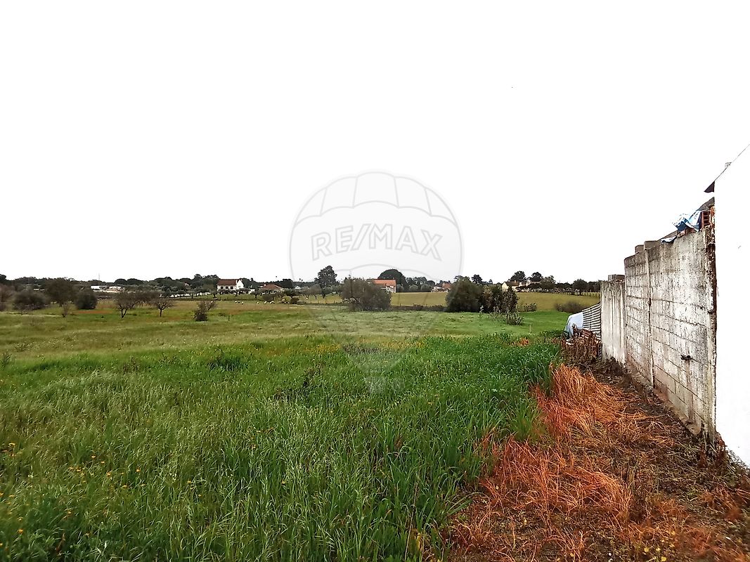 Terreno - Vale da Pedra, Cartaxo, Santarém