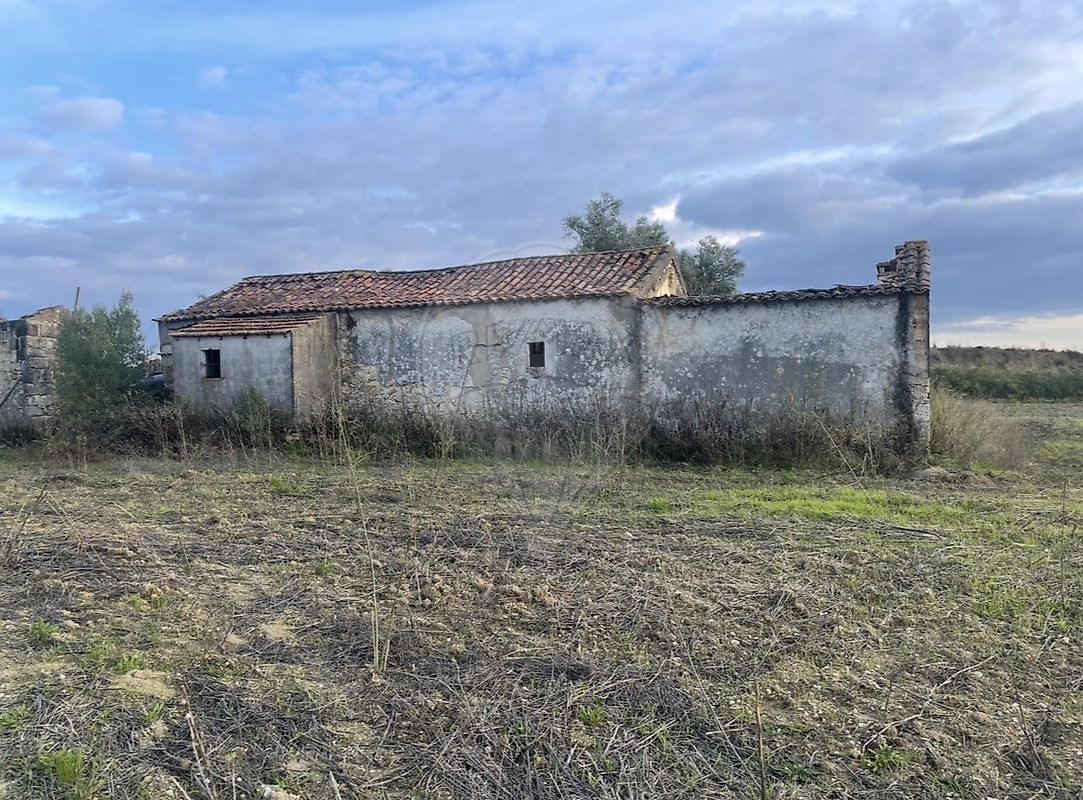 Moradia - São Vicente do Paul e Vale de Figueira, Santarém, Santarém