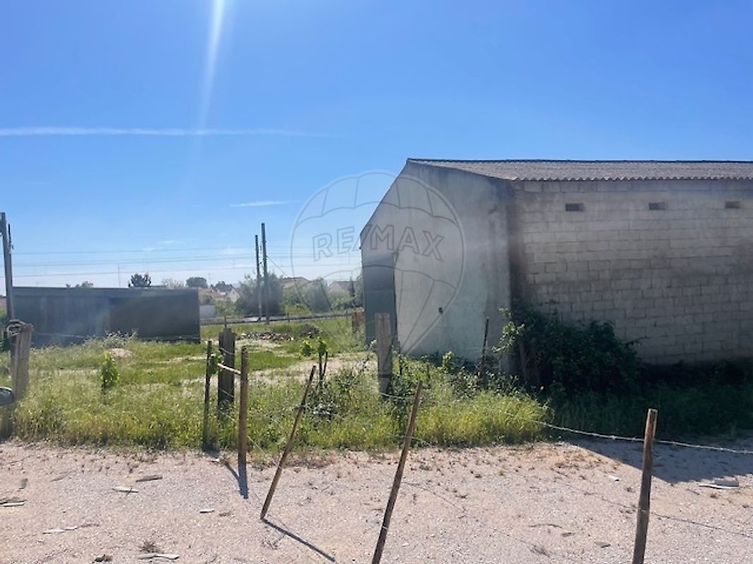 Armazém - Azinhaga, Golegã, Santarém