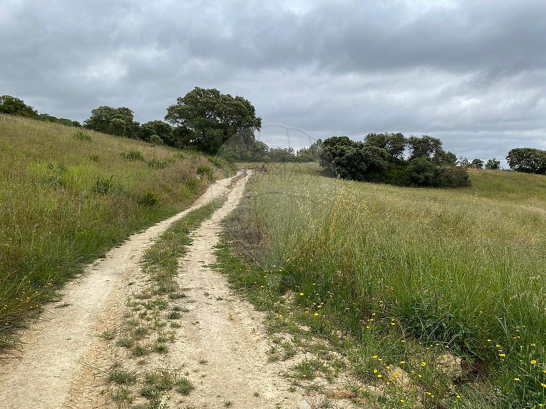 Terreno - Achete, Azoia de Baixo e Póvoa de Santarém, Santarém, Santarém