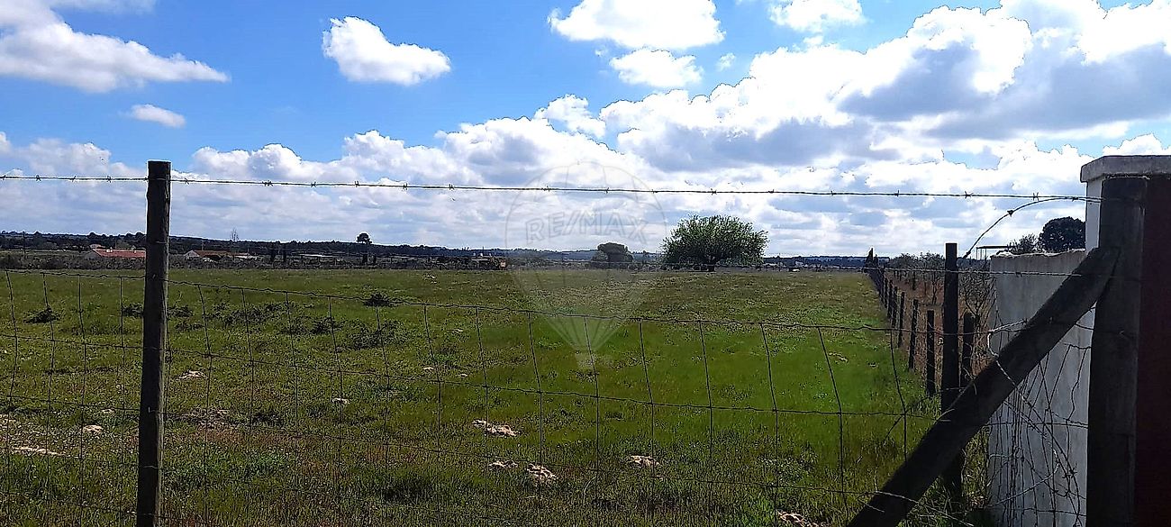 Terreno - Alpiarça, Alpiarça, Santarém