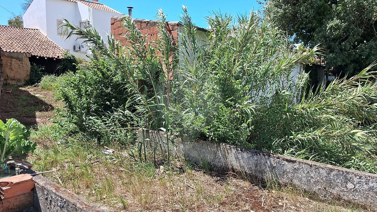 Moradia T3 à venda em Aveiras de Cima, Azambuja — foto 6