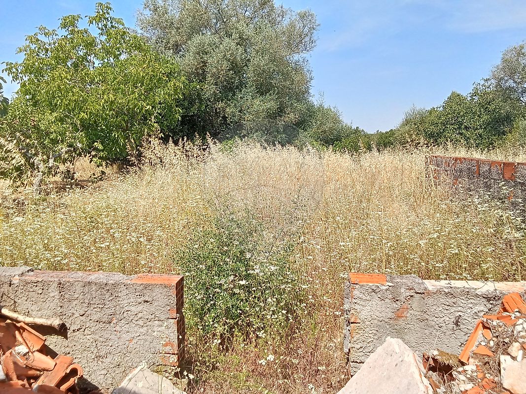 Moradia T2 à venda em Almoster, Santarém — foto 10