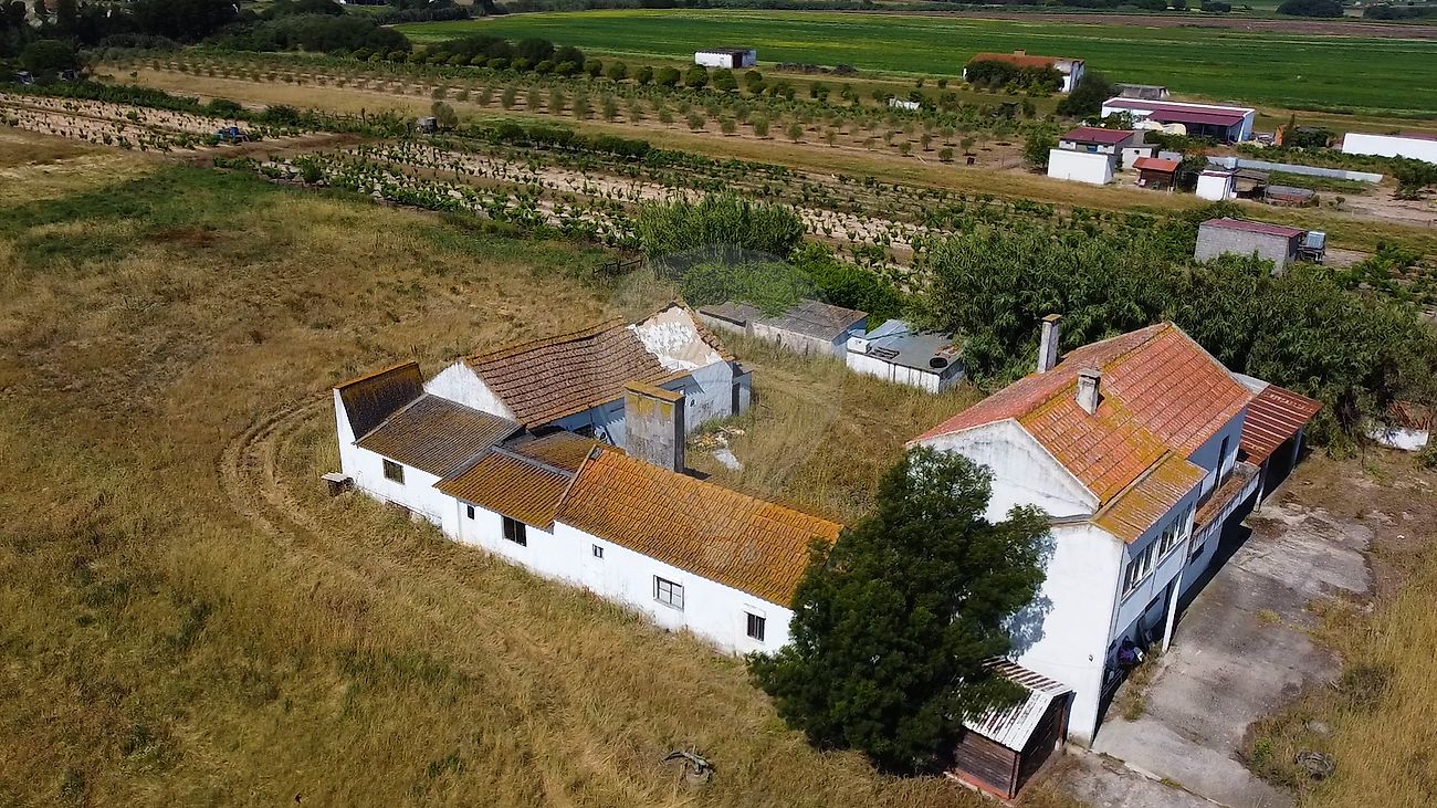 Quinta à venda em Almeirim
