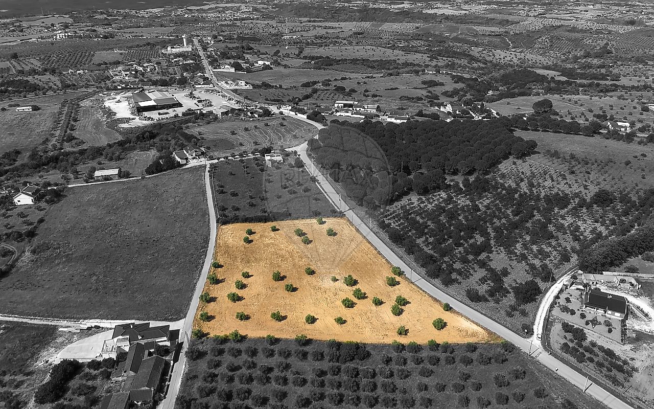 Terreno - Azoia de Cima e Tremês, Santarém, Santarém