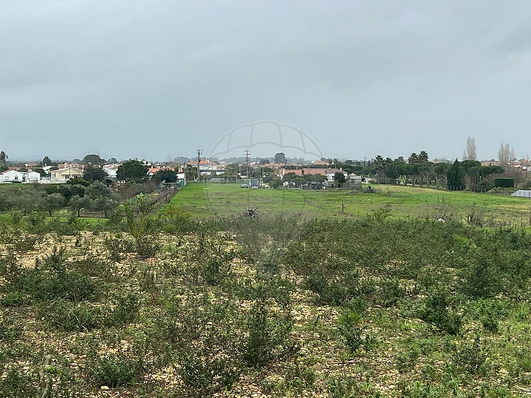Terreno - Marinhais, Salvaterra de Magos, Santarém