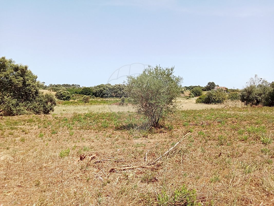 Terreno - Manique do Intendente, Vila Nova de São Pedro e Maçussa, Azambuja, Lisboa