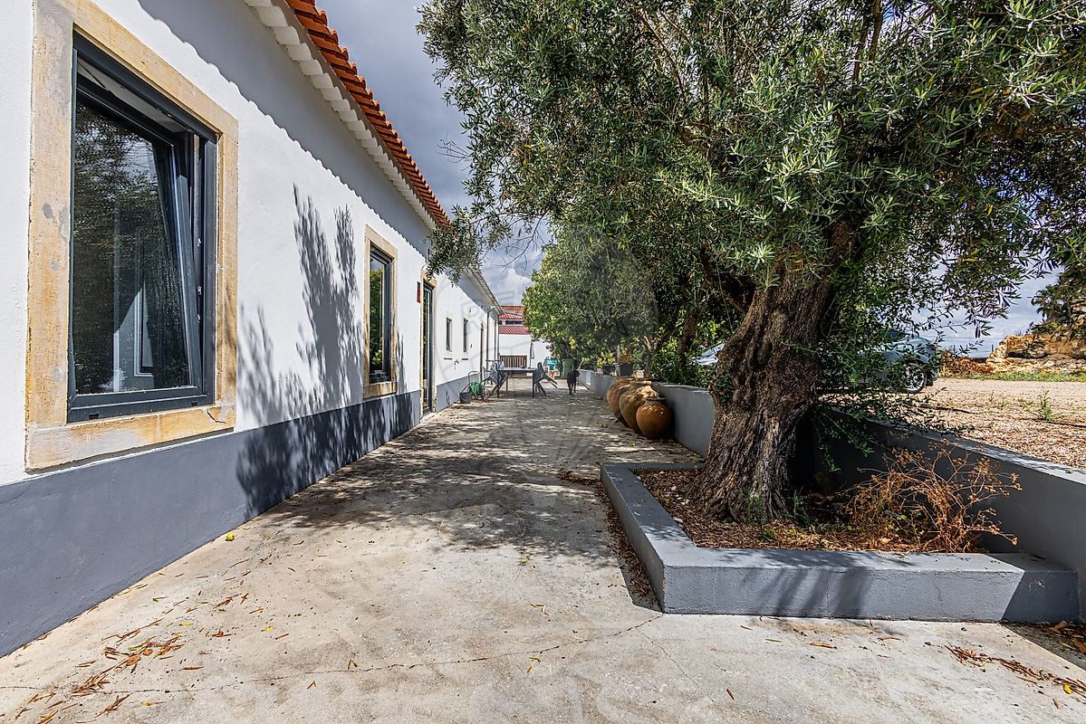 Moradia T6+ à venda em Póvoa da Isenta, Santarém — foto 6