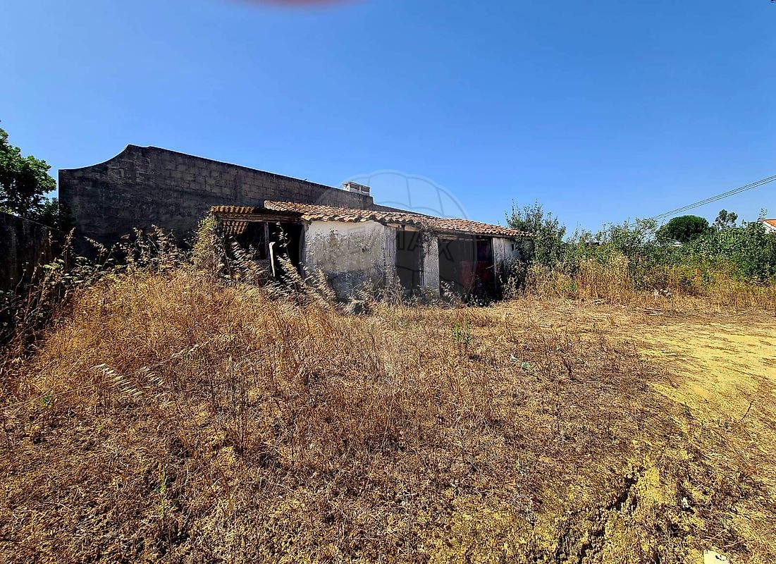 Moradia - Cartaxo e Vale da Pinta, Cartaxo, Santarém