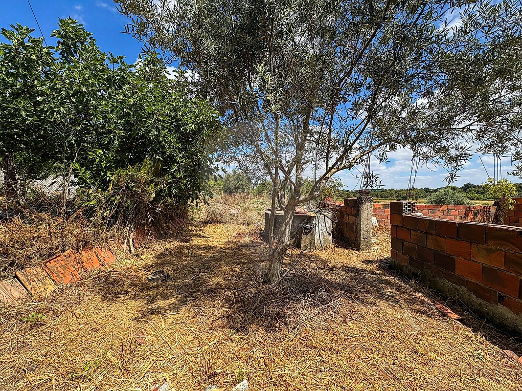 Moradia T3 à venda em Alcanhões, Santarém — foto 12