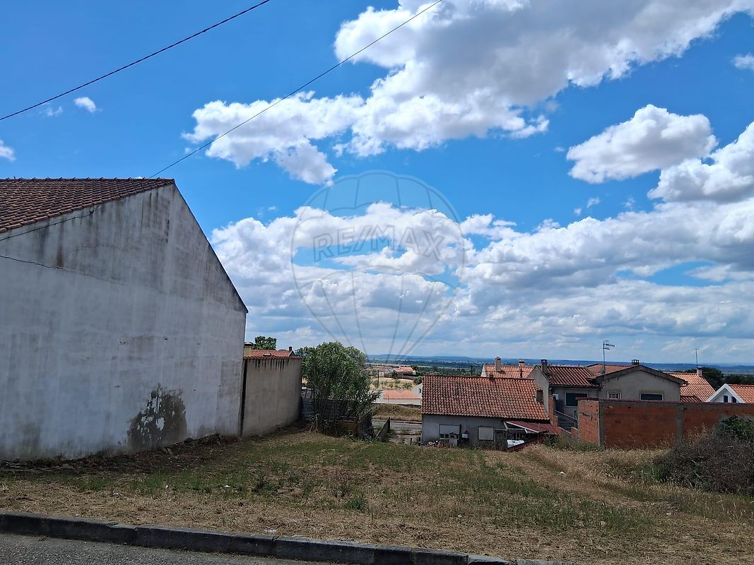 Terreno - Carregueira, Chamusca, Santarém