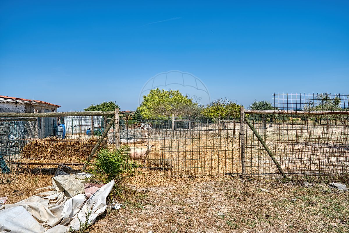 Moradia T3 à venda em Casével e Vaqueiros, Santarém — foto 21