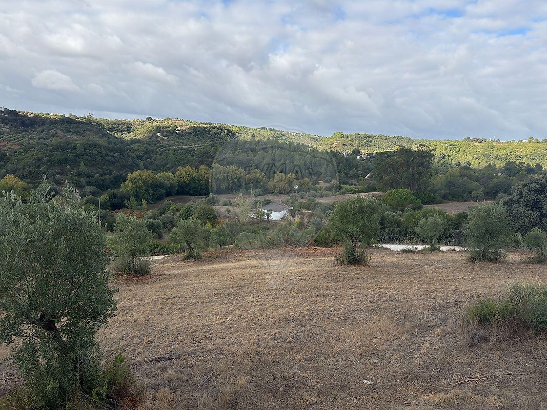 Moradia T2 à venda em Achete, Azoia de Baixo e Póvoa de Santarém, Santarém — foto 13