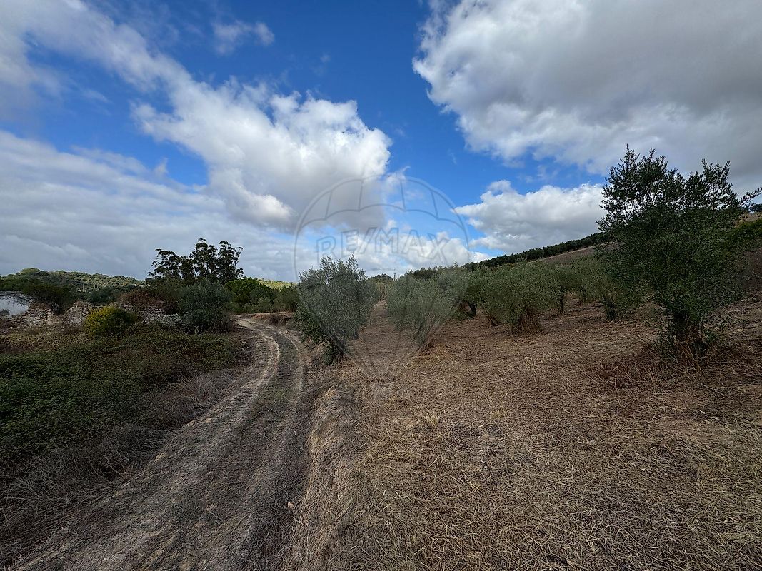 Moradia T2 à venda em Achete, Azoia de Baixo e Póvoa de Santarém, Santarém — foto 6