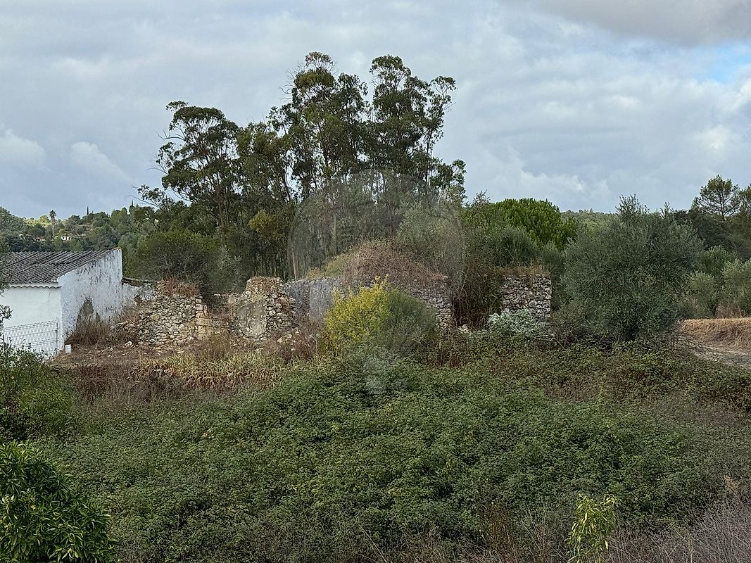 Moradia T2 à venda em Achete, Azoia de Baixo e Póvoa de Santarém, Santarém — foto 8
