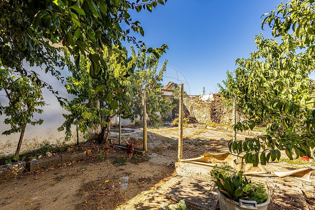 Moradia T2 à venda em Almoster, Santarém — foto 36