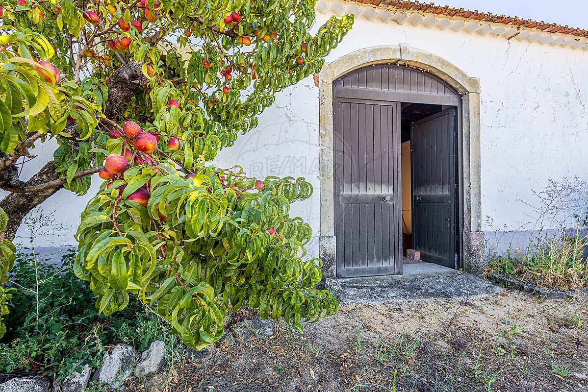 Moradia T2 à venda em Almoster, Santarém — foto 38