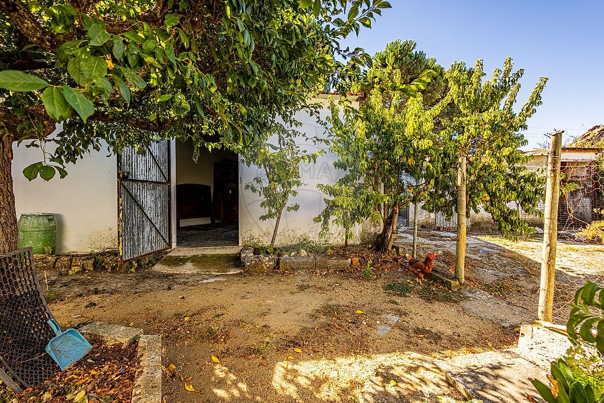 Moradia T2 à venda em Almoster, Santarém — foto 37
