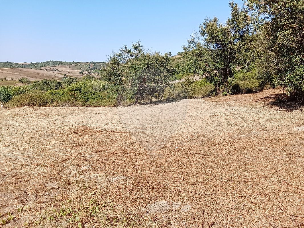 Apartamento à venda em Azambuja