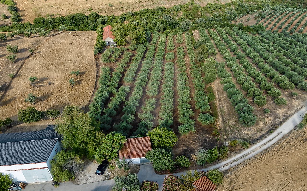 Moradia T4 à venda em Azoia de Cima e Tremês, Santarém — foto 16