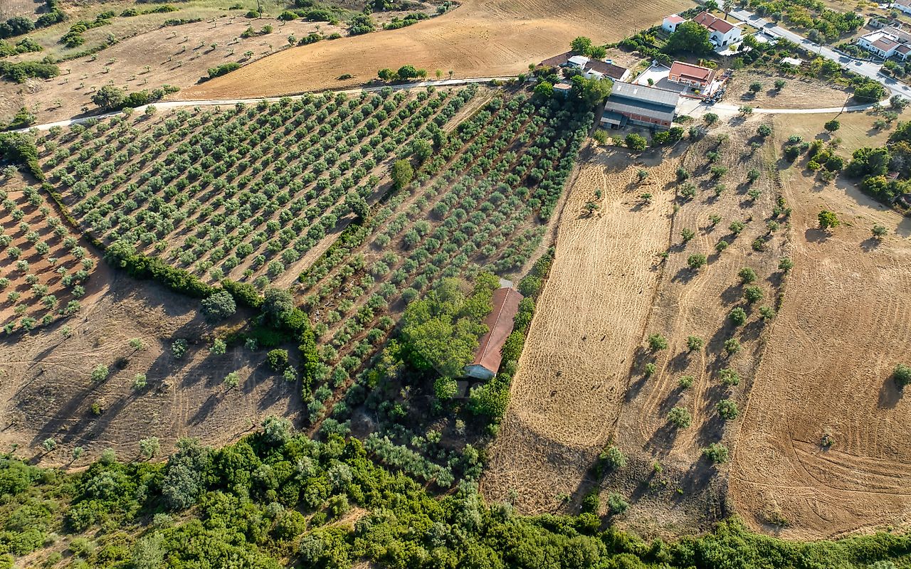 Moradia T4 à venda em Azoia de Cima e Tremês, Santarém — foto 8