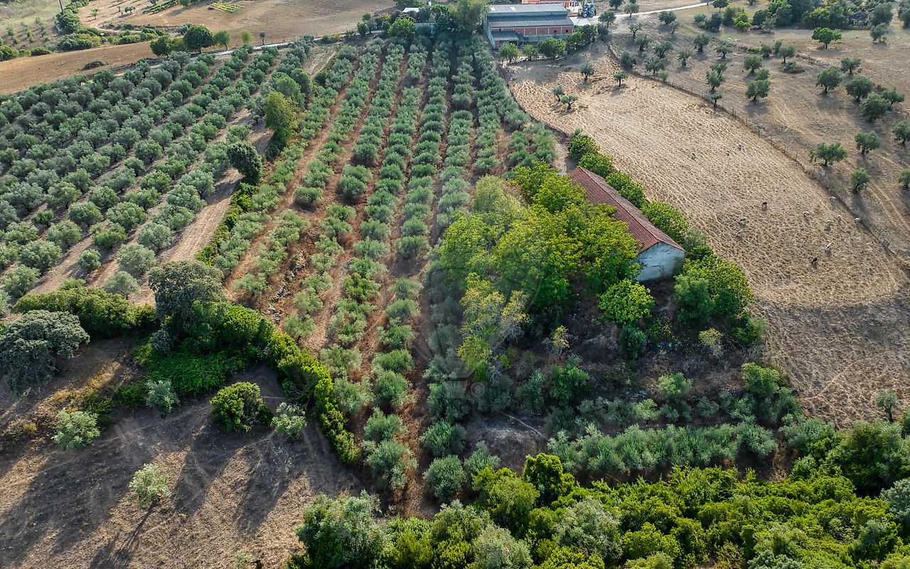 Moradia T4 à venda em Azoia de Cima e Tremês, Santarém — foto 20